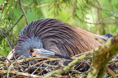 7: Murrells_2025-195