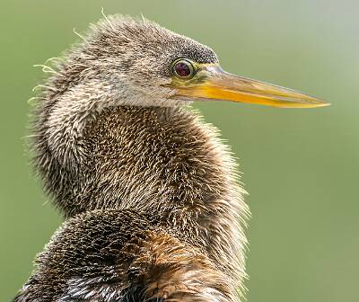 22: Murrells_2025-210