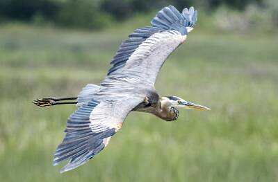 28: Murrells_2025-216