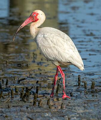 40: Murrells_2025-230