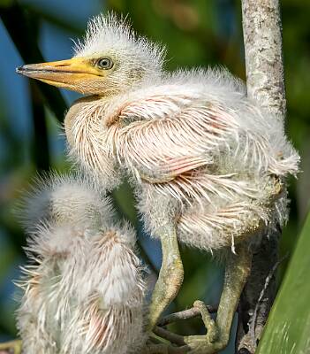 50: Murrells_2025-240