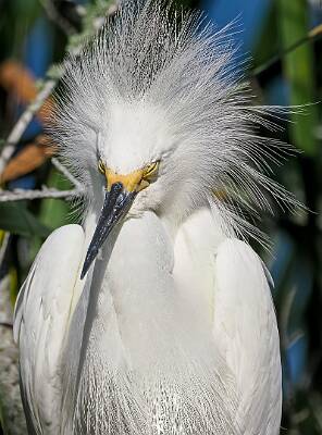 56: Murrells_2025-247