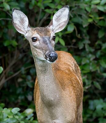 16: Murrells_2025-275