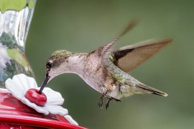 19: Murrells_2025-278