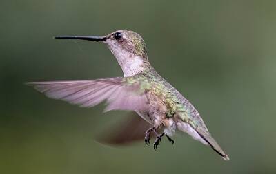 20: Murrells_2025-279