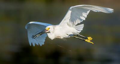 27: Murrells_2025-286