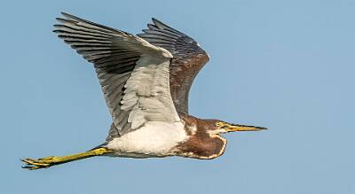 9: Murrells_2025-297