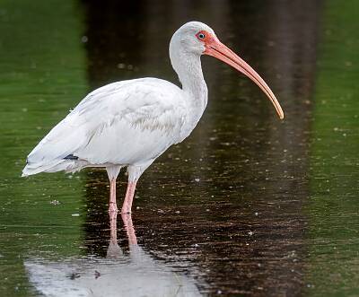 21: Murrells_2025-304