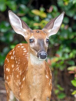 22: Murrells_2025-305