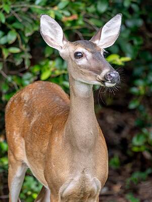 23: Murrells_2025-306