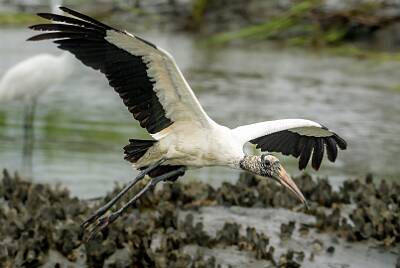 25: Murrells_2025-308