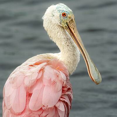 40: Murrells_2025-325