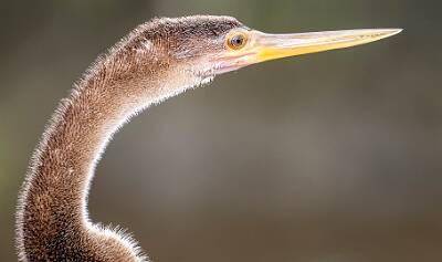 41: Murrells_2025-326