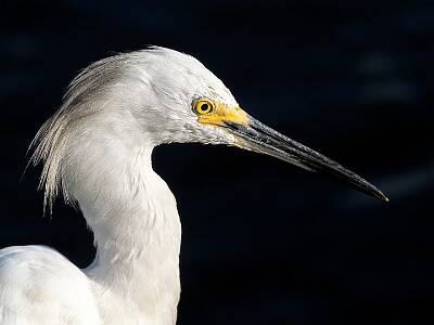 47: Murrells_2025-335