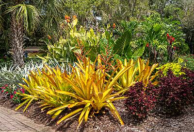 48: Murrells_2025-336