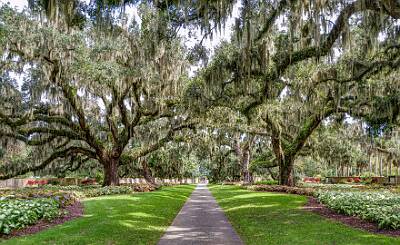 49: Murrells_2025-337