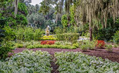 50: Murrells_2025-338