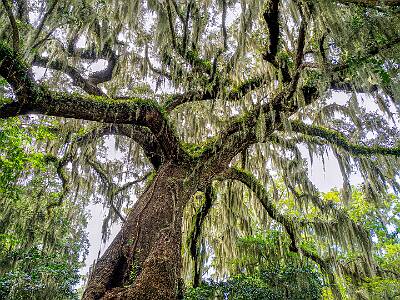 52: Murrells_2025-340