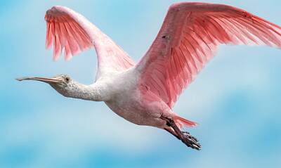 8: Murrells_2025-355