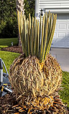 9: Murrells_2025-356