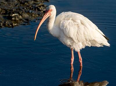 11: Murrells_2025-358