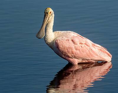 13: Murrells_2025-360