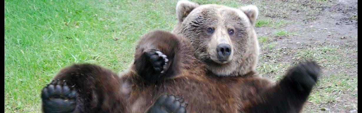 Click to show or hide the buttons