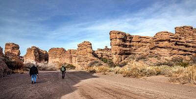 44: Bosque -2026-100