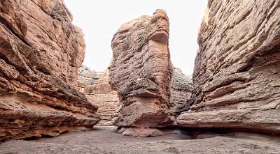 45: Bosque -2026-102