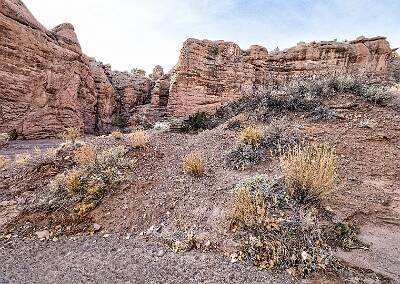 46: Bosque -2026-104