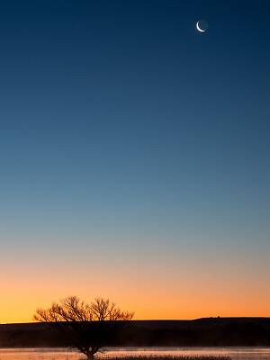 48: Bosque -2026-108