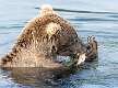 18: Alaska_2026-112