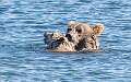 56: Alaska_2026-123