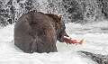 48: Alaska_2026-49