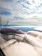 10: Alaska_2026-206