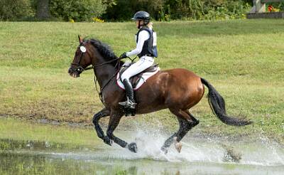 29: HorseParkNJ_2025-18