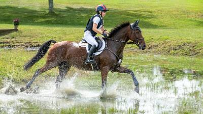 34: HorseParkNJ_2025-23