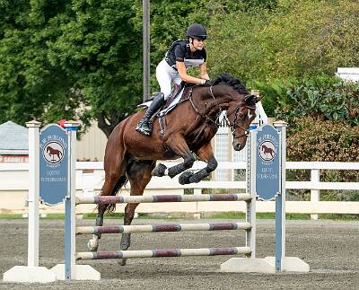 16: HorseParkNJ_2025-5