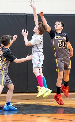 30: ptPleasantBasketball-30