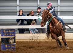 5: HorseParkNJ_2025-95