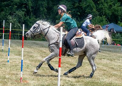 151: MGAA_2022-151
