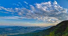 6: Weaverville2025--13