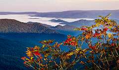 12: Weaverville2025--6