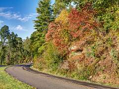 17: Weaverville2025--8