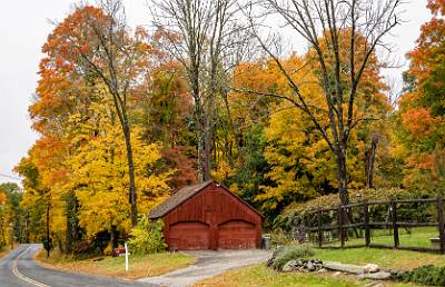 12: AutumnInCT-11