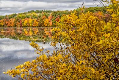 16: AutumnInCT-15