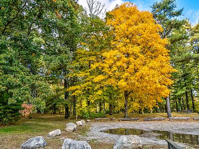 18: AutumnInCT-17