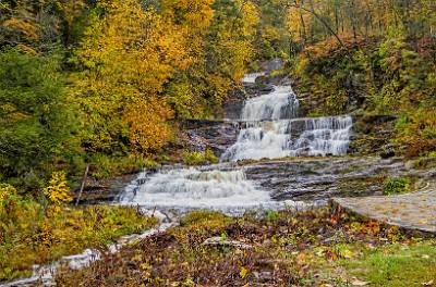 8: AutumnInCT-7