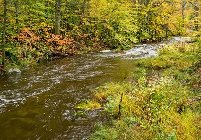 9: AutumnInCT-8