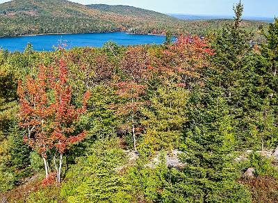 11: Maine-11